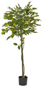 Umelá rastlina v kvetináči citrónovník citrus zelená a čierna syntetický materiál 156 cm dekorácie doplnky interiér