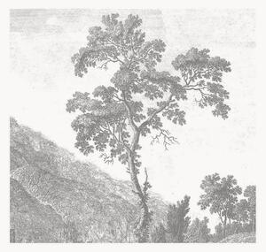 Vliesová tapeta Engraved Landscapes I