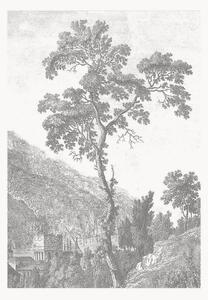 Vliesová tapeta Engraved Landscapes I
