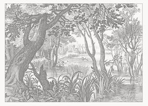Vliesová tapeta Engraved Landscapes