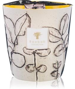 Baobab Collection Folia Calanque vonná sviečka 16 cm