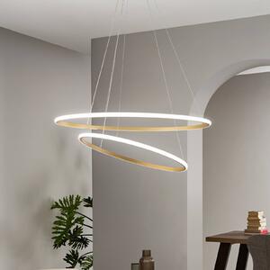 LED závesné svietidlo Axis, Ø 80/60 cm, zlatá, kov,, Mosadz / zlato, Obývacia izba / jedáleň, kov, Moderný, Závesné svietidlo