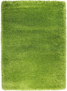 Devos koberce Kusový koberec Fusion 91311 Green - 200x290 cm