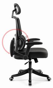 Hells Kancelárska stolička HC-1011 Black FABRIC