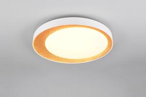 TRIO Reality R64611179 ALETA stropné svietidlo D450mm SMD LED 24W/2500lm 2700 - 6500K zlatá, diaľkový ovládač