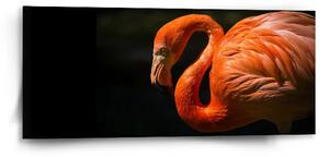 Sablio Obraz Plameniak - 110x50 cm