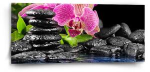 Sablio Obraz Orchidea na kameňoch - 110x50 cm