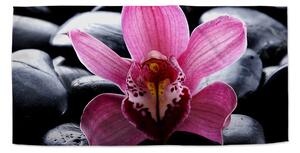 Sablio Uterák Ružová orchidea - 30x50 cm