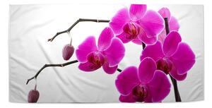 Sablio Uterák Fialové orchidey - 30x50 cm