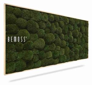 Machový obraz BOLMOSS Natural Green - 40 x 40 cm