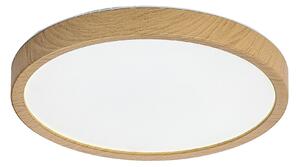 Rabalux MAUREC LED vonkajšie stropné svietidlo 75082
