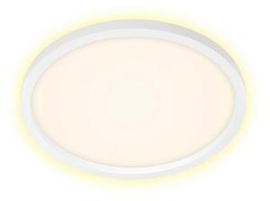 Briloner 7363-016 - LED Stropné svietidlo CADRE LED/22W/230V pr. 42,5 cm biela