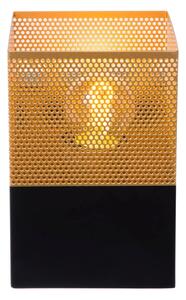Lucide 21223/01/02 - Nástenné svietidlo RENATE 1xE27/40W/230V zlatá/čierna