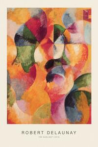 Obrazová reprodukcia The Sunlight (Special Edition) - Robert Delaunay