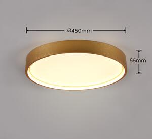 Trio 641310208 LED prisadené stropné svietidlo Doha | 29W integrovaný LED zdroj | 3260 lm | 2300+3000+4000K