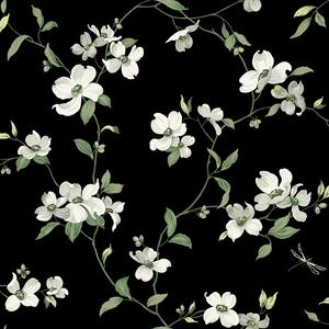 Čierna vliesová tapeta s kvetinami a vážkami, BL1764, Blooms Second Edition Resource Library, York