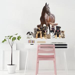 INSPIO-textilná prelepiteľná nálepka - Nálepka na stenu Milujem zvieratká