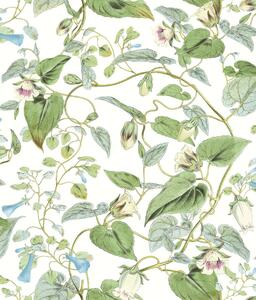 Kvetinová vliesová tapeta, BL1711, Blooms Second Edition Resource Library, York