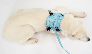 PuppyJoy, vychádzkový postroj, obojok + vodítko 1,5m pre psa 140x106 cm PJ-066 XL, modrá, HOM-50000