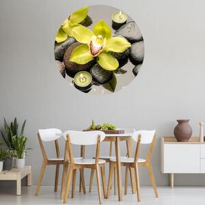 INSPIO-textilná prelepiteľná nálepka - Nálepka na stenu do kuchyne - Orchidea