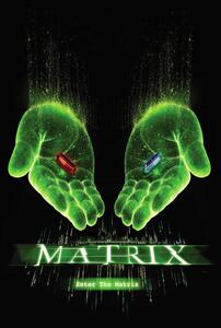 Umelecká tlač Matrix - Choose your path
