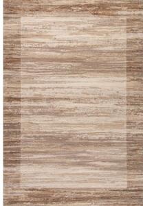 Platinum brown koberec Veľkosť: 120x170cm
