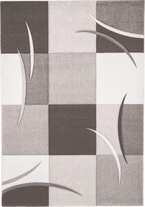 Moderno Mix koberec v 4 farbách Farba: Grey, Veľkosť: 200x290cm