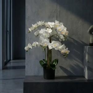 Umelá orchidea biela 80 cm Lia Real Touch - Biela - 71 - 90 cm