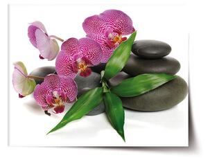 Sablio Plagát Orchidea a kamene - 60x40 cm