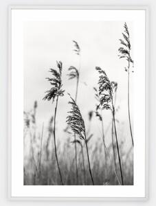 Plagát s čiernobielou fotografiou trávy