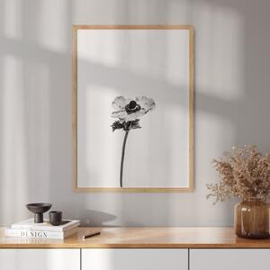 Plagát s fotografiou kvetu veternice