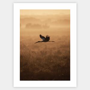 Plagát s fotografiou letiaceho vtáka