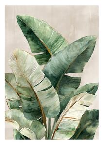 Tlačený obraz na plátne 70x100 cm Foliage – Styler