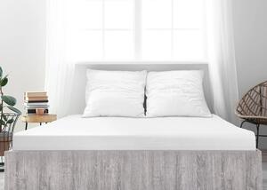Jersey plachta z mako bavlny LUXORA 90x200 cm biela