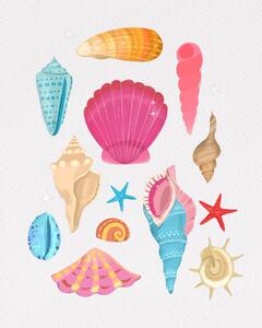 Ilustrácia Seashells, Petra Lizde, (30 x 40 cm)