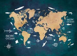 Ilustrácia World map 3, Justyna Jaszke, (40 x 30 cm)