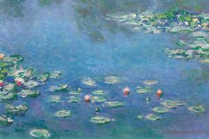 Plagát, Obraz - Claude Monet - Waterlillies