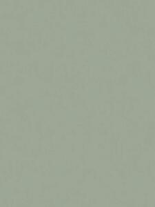 A.S. Création | Vliesová tapeta na stenu Elite of Shades 78659-2 | 1,06 x 10,05 m | zelená