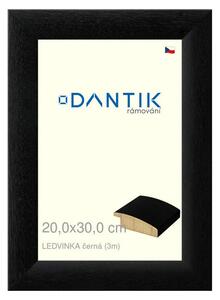 DANTIK rám na obraz 20x30 | LEDVINKA černá (Sklo Čiré)