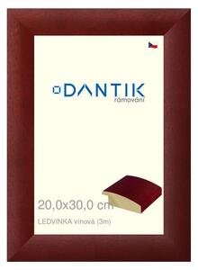 DANTIK rám na obraz 20x30 | LEDVINKA vínová (Sklo Čiré)