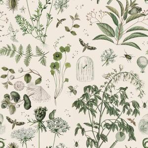 Dekornik Tapeta na stenu - zelené botanické príbehy