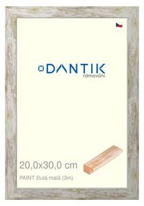 DANTIK rám na obraz 20x30 | PAINT žlutá malá (Sklo Čiré)