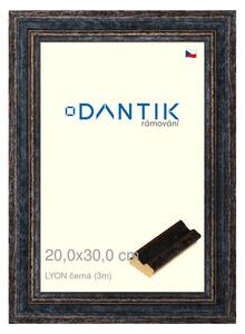 DANTIK rám na obraz 20x30 | LYON černá (Sklo Čiré)