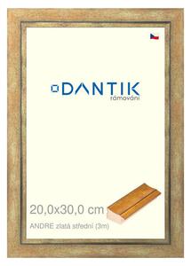 DANTIK rám na obraz 20x30 | ANDRE zlatá střední (Sklo Čiré)