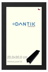 DANTIK rám na obraz 20x30 | ALU Černá matná (Sklo Čiré)