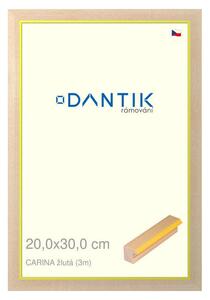 DANTIK rám na obraz 20x30 | CARINA žlutá (Sklo Čiré)