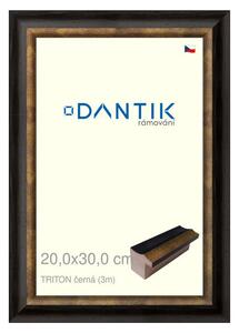 DANTIK rám na obraz 20x30 | TRITON černá (Sklo Čiré)