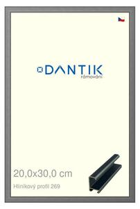 DANTIK rám na obraz 20x30 | ALU Platina matná (Sklo Čiré)