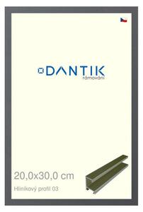 DANTIK rám na obraz 20x30 | ALU Platina matná (Sklo Čiré)