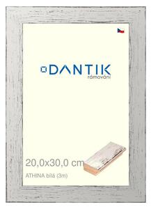 DANTIK rám na obraz 20x30 | ATHINA Bílá (Sklo Čiré)